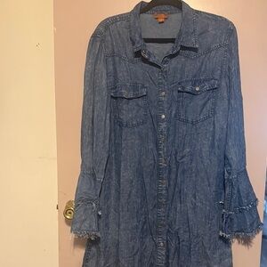 Scully Denim Long Sleeve Dress